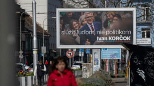 L'&eacute;lection pr&eacute;sidentielle dans une Slovaquie divis&eacute;e sur l'Ukraine