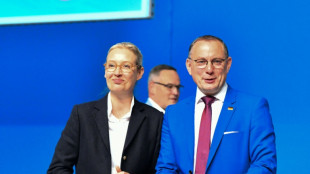 "Es hat gekracht": Weidel r&auml;umt bei Parteitag Probleme im EU-Wahlkampf ein
