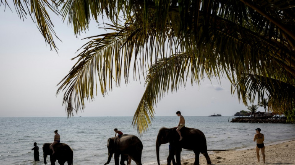 Un cuidador tailand&eacute;s es acusado de negligencia tras muerte de turista espa&ntilde;ola por un elefante