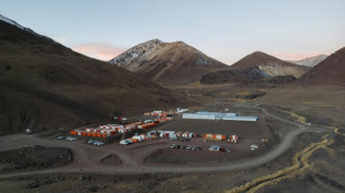 Full steam ahead for Milei's Andean mining revolution