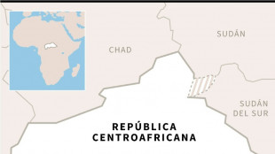 Un grupo rebelde mat&oacute; a nueve chinos en Rep&uacute;blica Centroafricana, seg&uacute;n una investigaci&oacute;n
