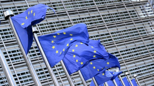 EU-Innenminister einigen sich auf Versch&auml;rfung der Asylpolitik