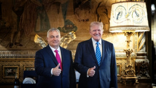 Eklat um Orban: &Ouml;zdemir und Lindner pr&uuml;fen Absage von Ungarn-Reisen