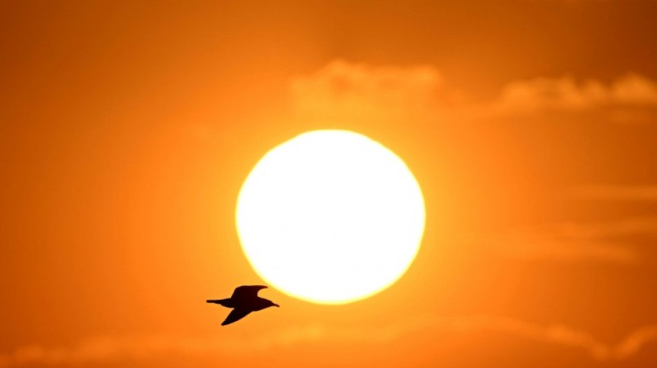 Météo-France: un été "plus chaud que la normale" est le scénario le "plus probable"