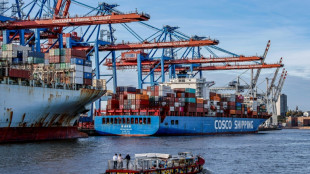 Große Risiken für deutsche Wirtschaft durch Handelskrieg zwischen USA und China