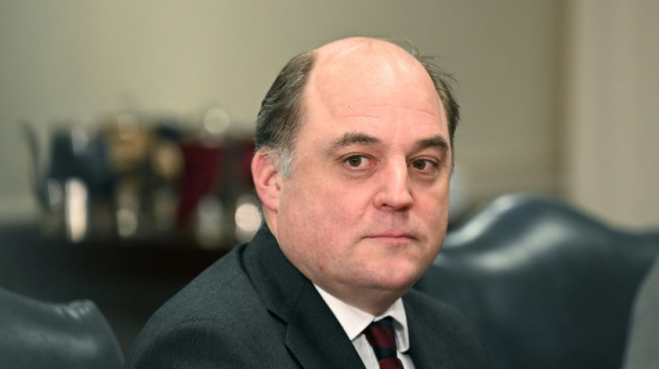 UK's Wallace rules himself out of NATO job