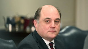 UK's Wallace rules himself out of NATO job