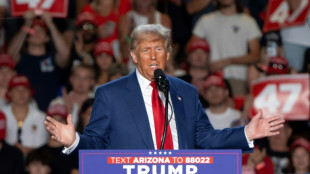 Trump will US-Senat bei Ernennung von Ministern umgehen und k&uuml;rt neuen "Grenz-Zar"