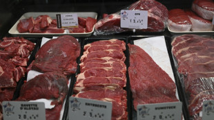 Moins de viande, c'est mieux: des scientifiques de référence persistent et signent