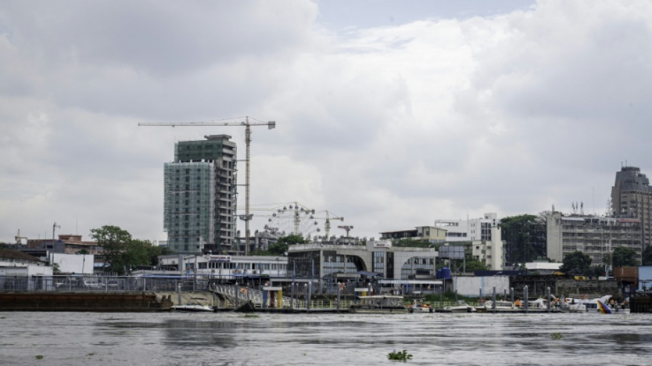A Kinshasa, des terres agricoles englouties par le b&eacute;ton