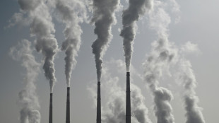 Quelles conséquences pour les énergies fossiles après l'avis de la Cour internationale de justice?