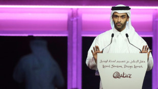 Qatar hits back at 'ridiculous' World Cup attack by Van Gaal