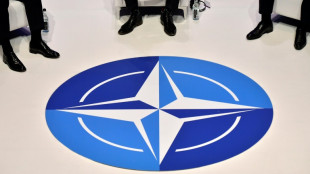Deutscher Nato-General rechnet nicht mit R&uuml;ckzug der USA
