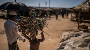 Bleak future for Rohingya, as Bangladesh seeks to tackle crisis 