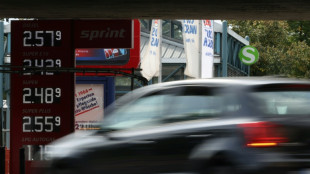 Unionsfraktion: Weitere Spritpreisentlastungen wohl fr&uuml;hestens im Januar