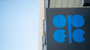 L'Opec+ lascia invariati i livelli di produzione di petrolio