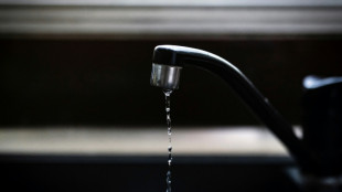 Polluants &eacute;ternels et perturbateurs endocriniens: les risques pendant la grossesse se pr&eacute;cisent