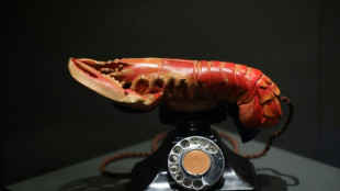 De Dal&iacute; a Bj&ouml;rk, casi un siglo de surrealismo en el dise&ntilde;o se expone en Londres