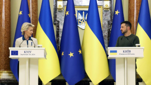 Von der Leyen: Ukraine soll EU-Kredit in H&ouml;he von 35 Milliarden Euro erhalten