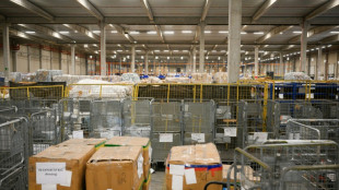 EU-Länder einigen sich auf Ende von Zollfreiheit für Pakete unter 150 Euro