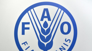 Pre&ccedil;os dos alimentos caem, mas fen&ocirc;meno El Ni&ntilde;o &eacute; uma amea&ccedil;a