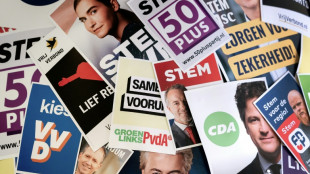 Dutch vote in test for Europe's far right