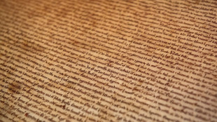 'Magna Carta' que pertence a Harvard é original, dizem especialistas britânicos