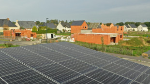Solar becomes Europe's main energy source in June: consultants