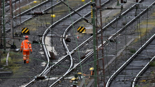 Staatsschutz übernimmt Ermittlungen zu Brand an Güterbahnstrecke in Sachsen-Anhalt