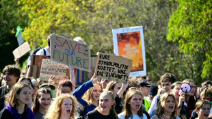 Germany set to miss 2030 climate goal: experts