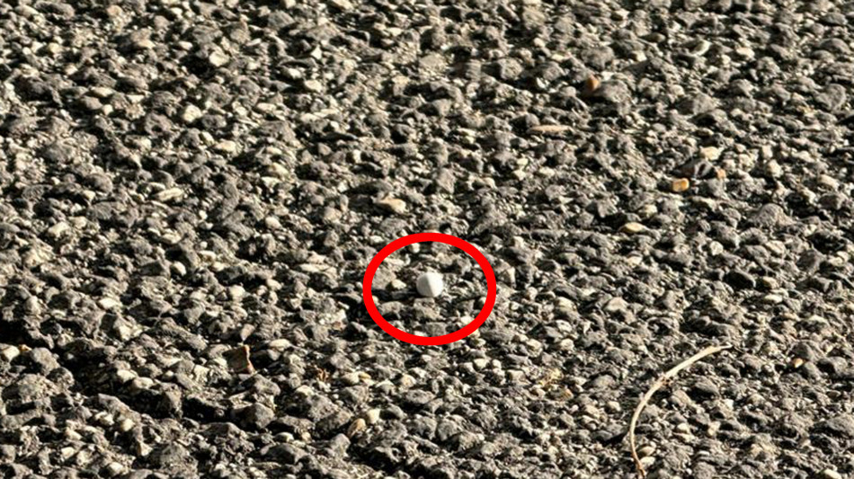 25 aprile, per gli spari a Roma 21enne fermato per tentato omicidio