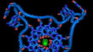 Nuovo batterio sintetico da record, ha il Dna più semplificato