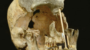 La génétique retrouve la trace des premiers humains modernes d'Europe