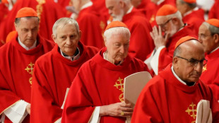 Fernández Artime, uma opção de continuidade do papa Francisco