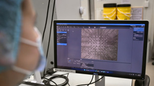 Des neurones prennent les commandes du jeu "Doom" dans un laboratoire australien