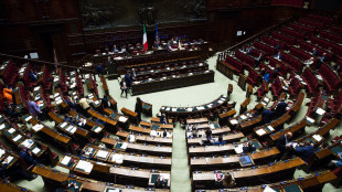 Via libera della Camera al decreto Economia, è legge