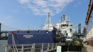 Le magnat des mines qui ne voulait plus &ecirc;tre un "&eacute;norme pollueur"