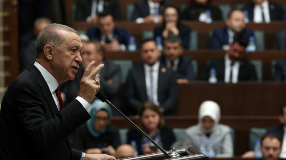 T&uuml;rkischer Parlamentsausschuss stimmt Nato-Beitritt Schwedens zu