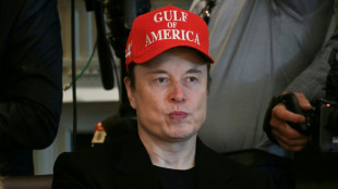 Elon Musk verkündet Ende seiner Tätigkeit für US-Regierung  