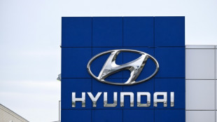 USA : pr&egrave;s de 500 personnes, en majorit&eacute; des Sud-Cor&eacute;ens, arr&ecirc;t&eacute;es dans une usine Hyundai-LG