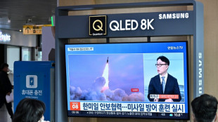 Corea del Norte dispara artiller&iacute;a a una zona de amortiguamiento con el Sur