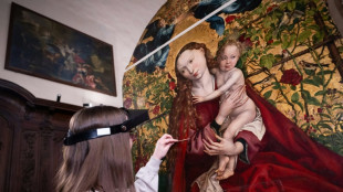 A Colmar, un nouvel &eacute;clat pour "La Vierge au buisson de roses" avant le Louvre