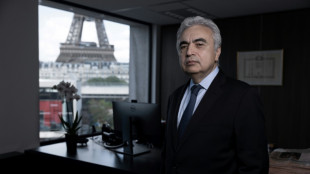 Les barri&egrave;res commerciales peuvent freiner la transition &eacute;nerg&eacute;tique, selon le chef de l'AIE 