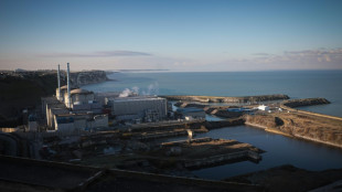 Le gouvernement acte la relance de la filière nucléaire en France