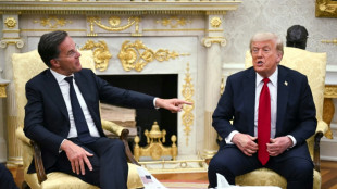 Rutte: "Faktische" Anerkennung russischer Kontrolle über ukrainische Gebiete möglich