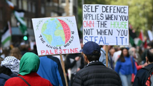 Vor Jahrestag des Gaza-Kriegs: Pro-pal&auml;stinensische Demos in London und Kapstadt