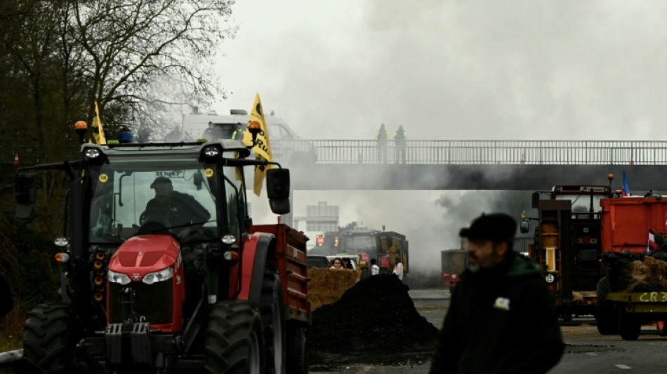 Mercosur und Rindervirus: Franz&ouml;sische Bauern protestieren weiter