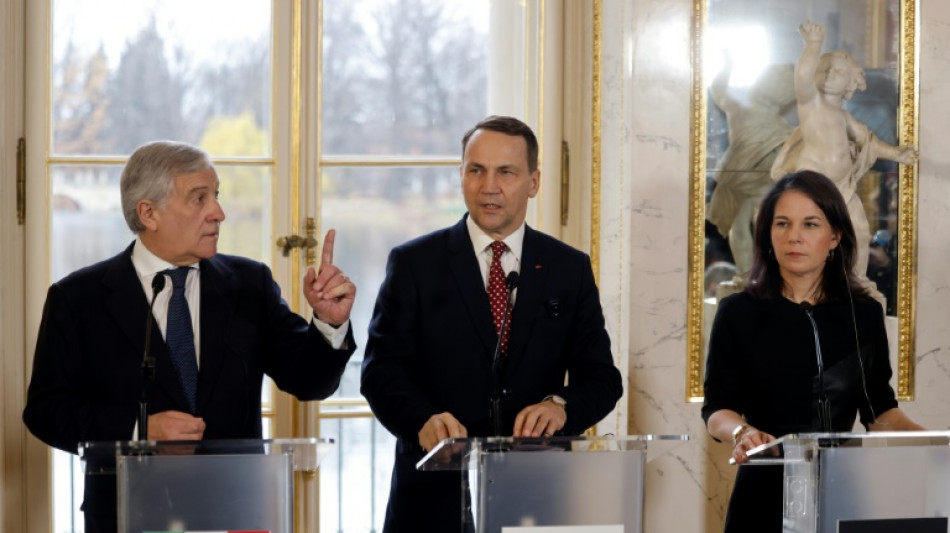 Polen: EU-L&auml;nder w&uuml;rden Kiew bei Verringerung von US-Hilfen st&uuml;tzen 
