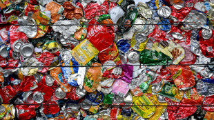 L'avenir est dans les déchets: une exposition à Paris