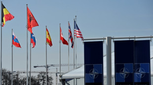 Le drapeau su&eacute;dois hiss&eacute; au si&egrave;ge de l'Otan apr&egrave;s deux ans d'attente